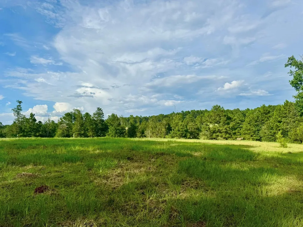 344 Lakeland Ranch Hillister, TX 77624
