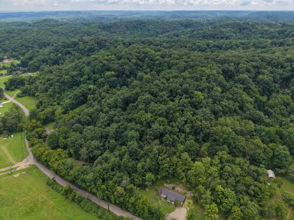 2481 Tinnin Rd Goodlettsville, TN 37072