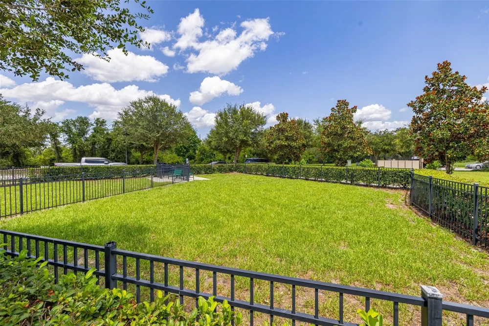 11193 HANLON TERRACE ALLEY Winter Garden, FL 34787