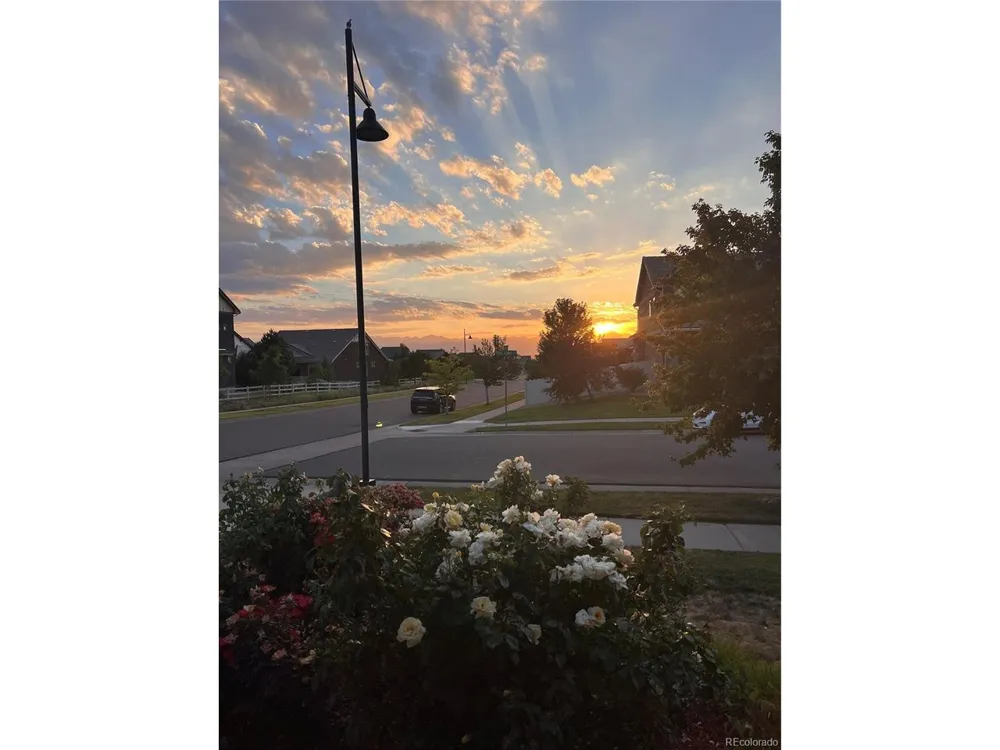 123 Pipit Lake Court Erie, CO 80516