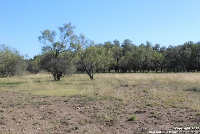300 Paradise Oaks Drive Utopia, TX 78884