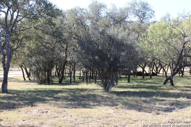 300 Paradise Oaks Drive Utopia, TX 78884