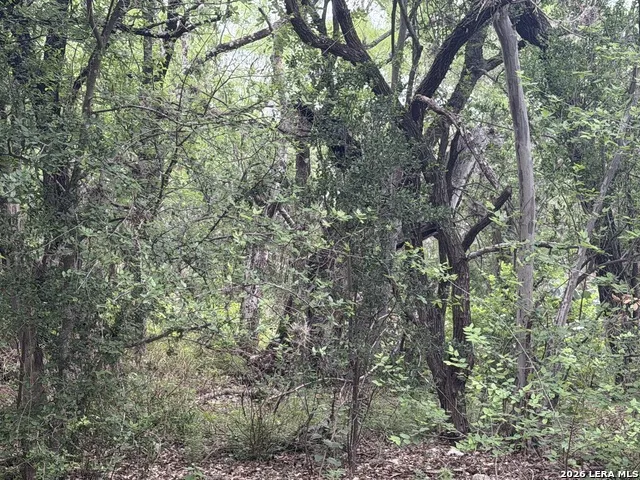 6197 Ranch Road 1120 Leakey, TX 78873