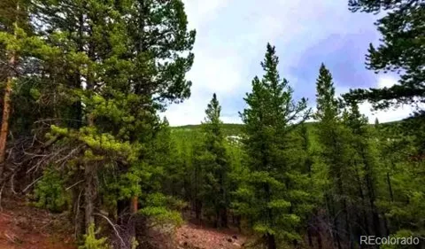 111 FS Road 752.3B