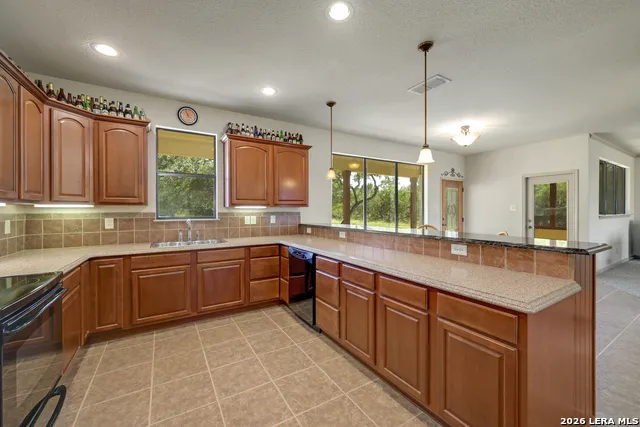 995 Cielo Springs Drive Blanco, TX 78606