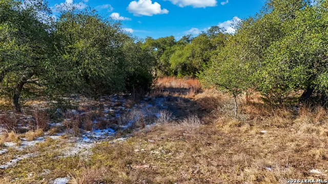 246 Dodder Spring Branch, TX 78070