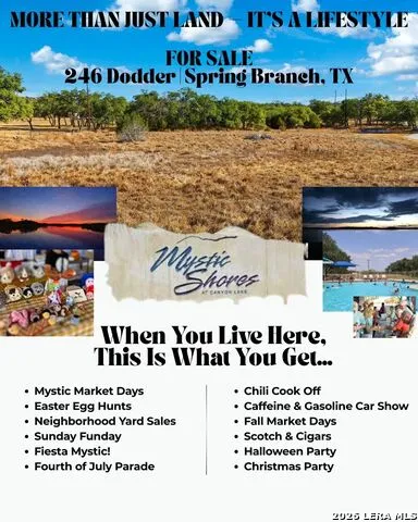 246 Dodder Spring Branch, TX 78070