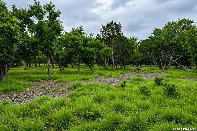 30 Clearwater Canyon Bandera, TX 78003