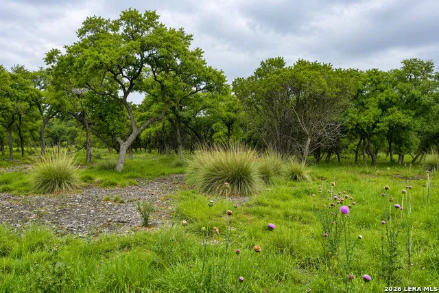 30 Clearwater Canyon Bandera, TX 78003