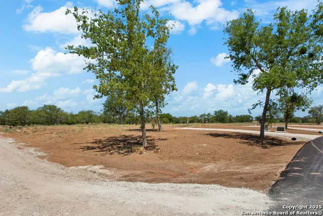 229 RESORT CT Fredericksburg, TX 78624