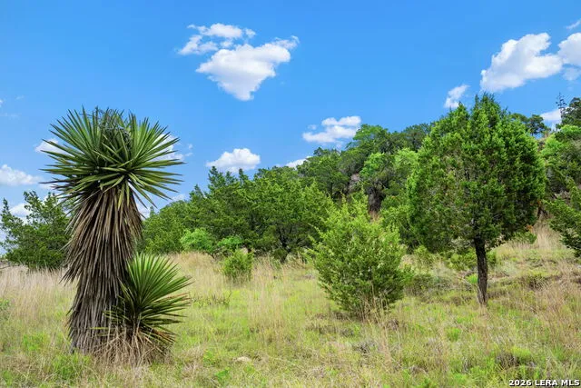 7625 State Highway 16 Fredericksburg, TX 78624