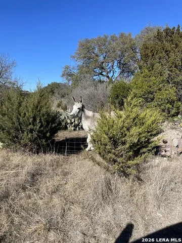 305 Walnut Springs Ranch Rd Uvalde, TX 78801