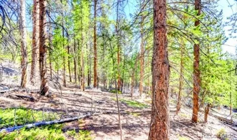 2222 Swift Claim Road