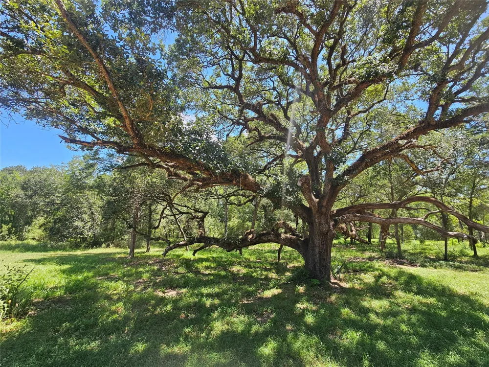 2980 S Ih 10 Weimar, TX 78962
