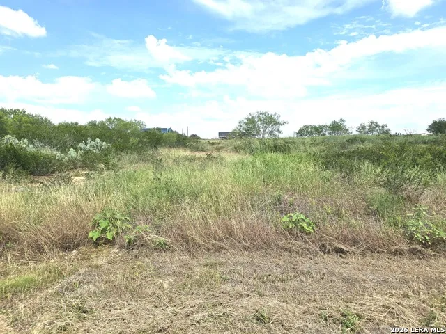 115 County Road 2666 Devine, TX 78016