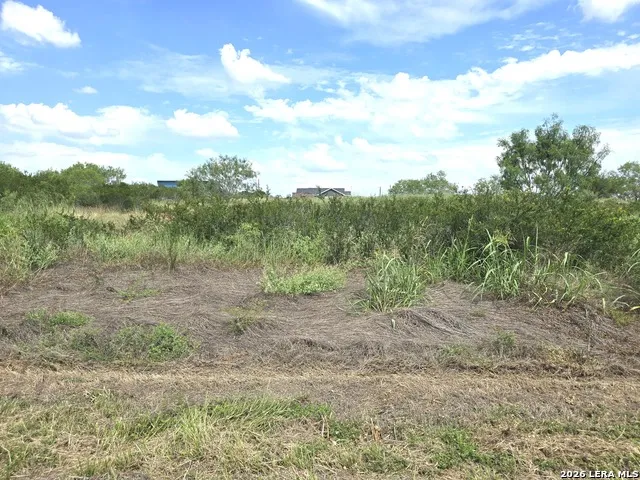 115 County Road 2666 Devine, TX 78016