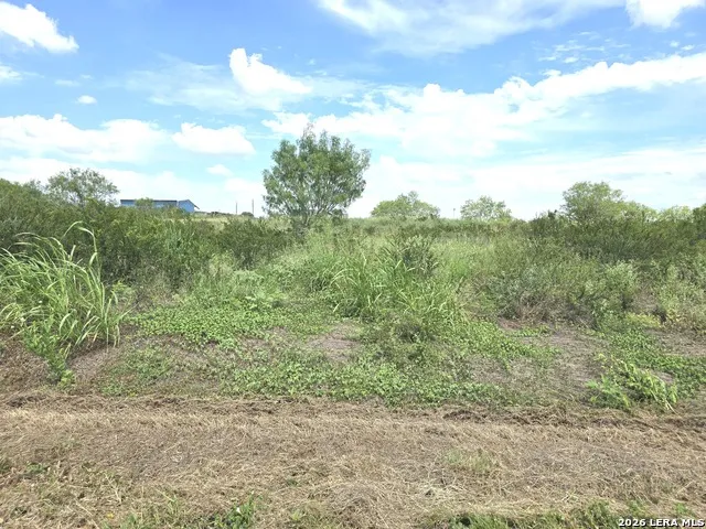115 County Road 2666 Devine, TX 78016