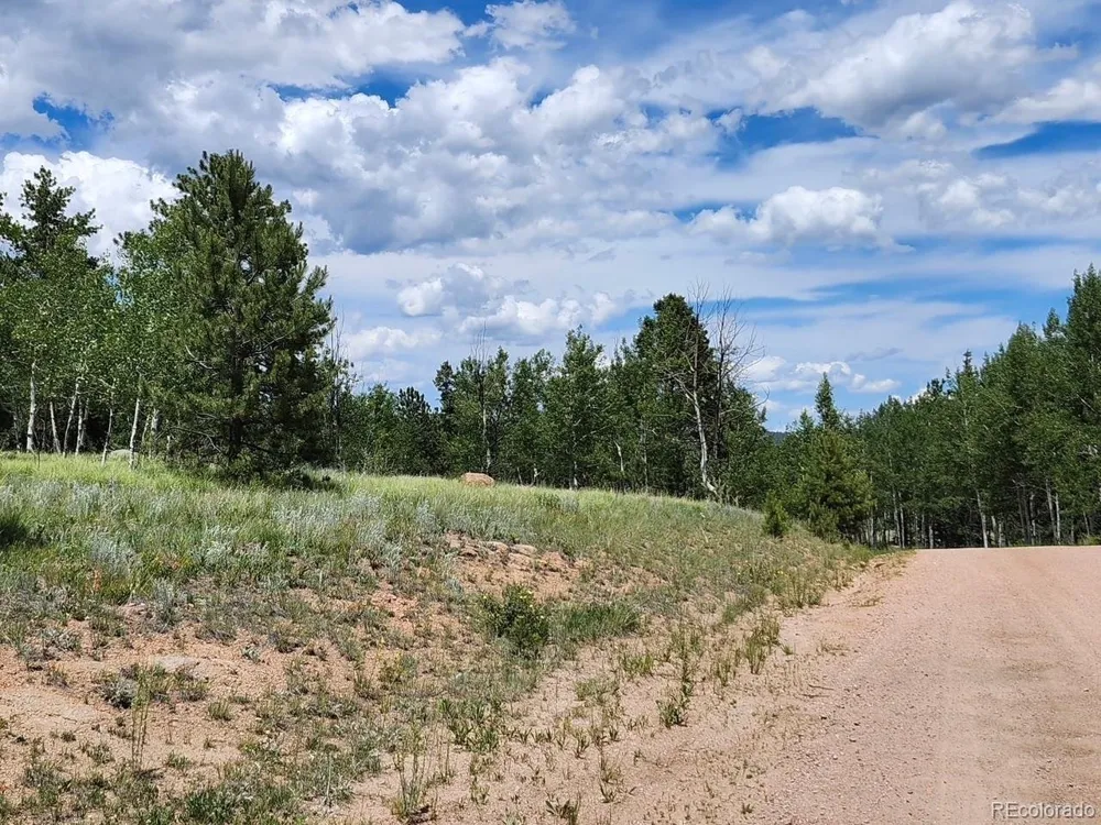 501 Cr-403 Florissant, CO 80816