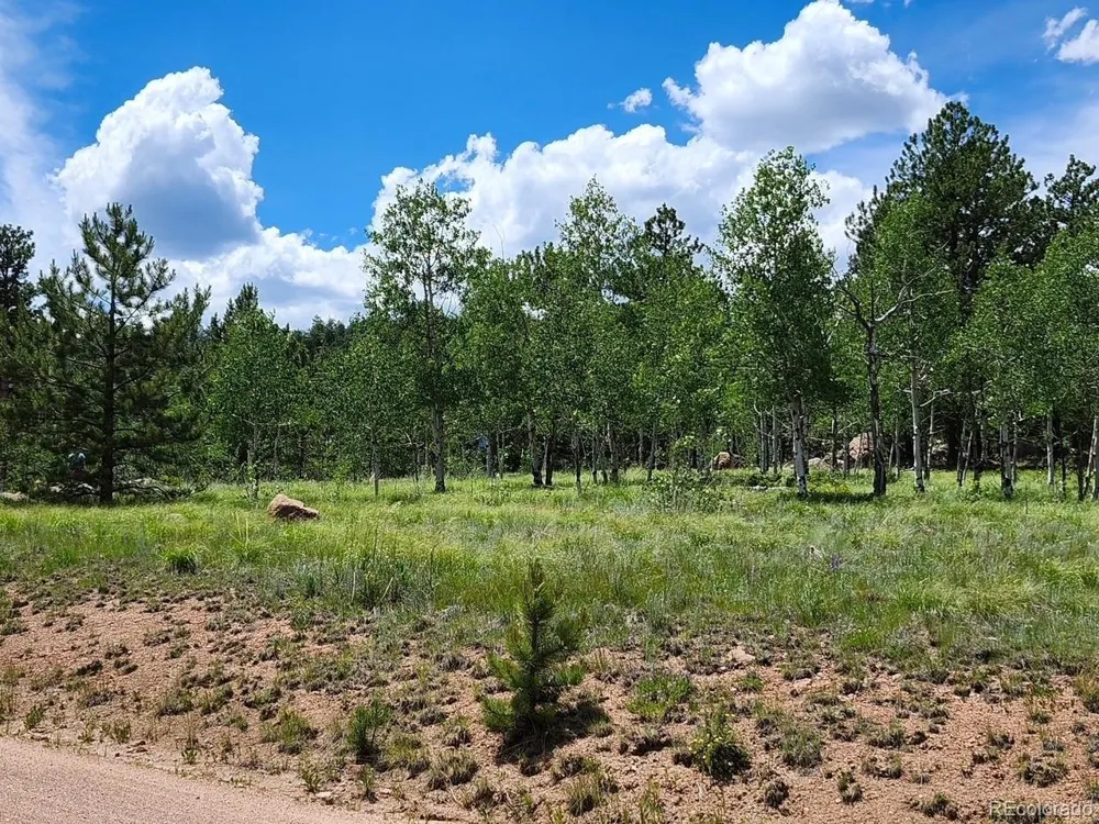 501 Cr-403 Florissant, CO 80816