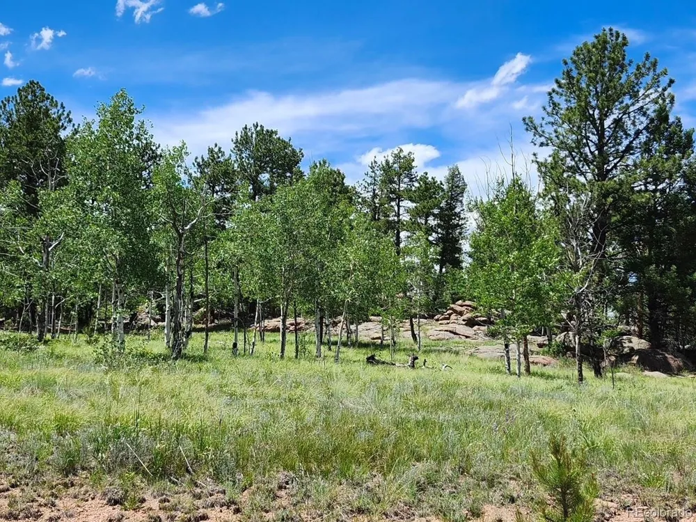 501 Cr-403 Florissant, CO 80816