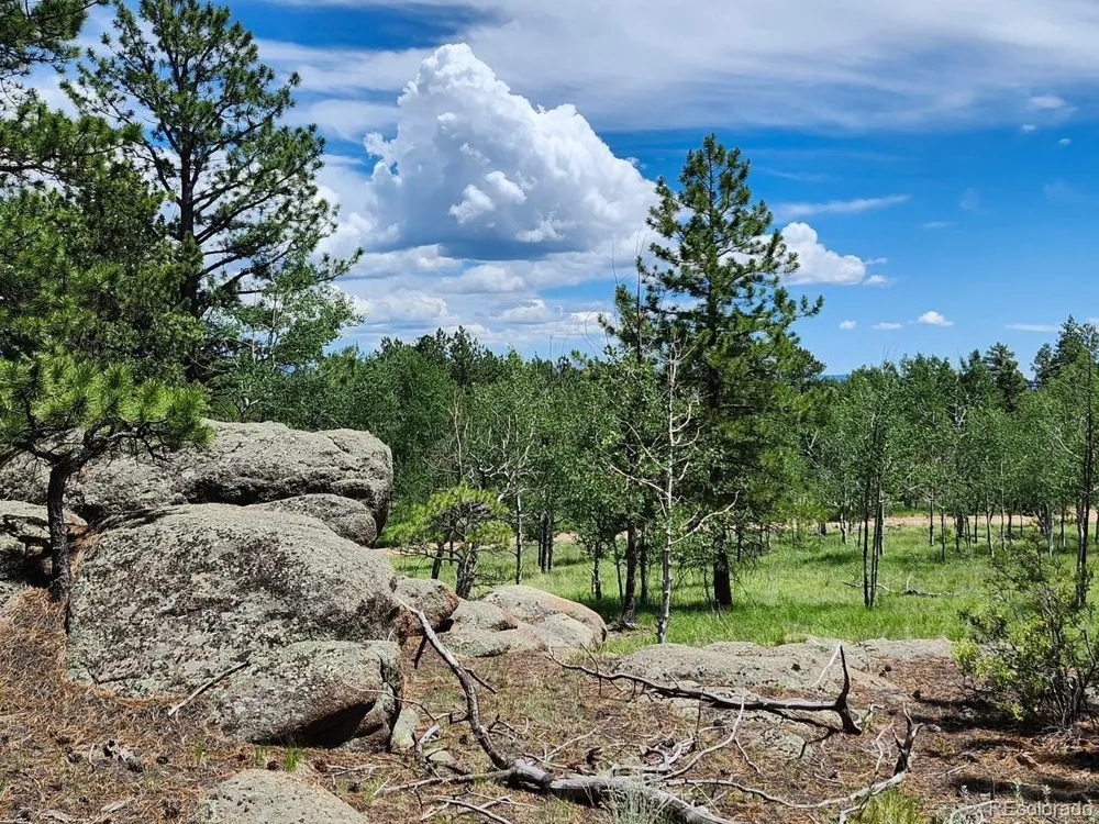 501 Cr-403 Florissant, CO 80816
