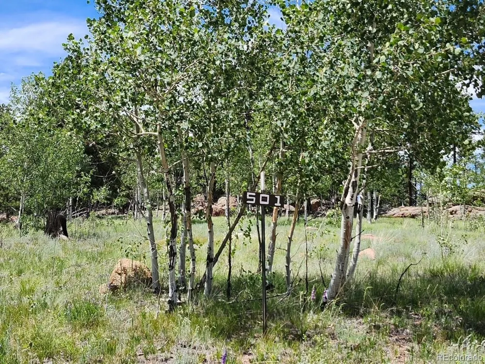 501 Cr-403 Florissant, CO 80816