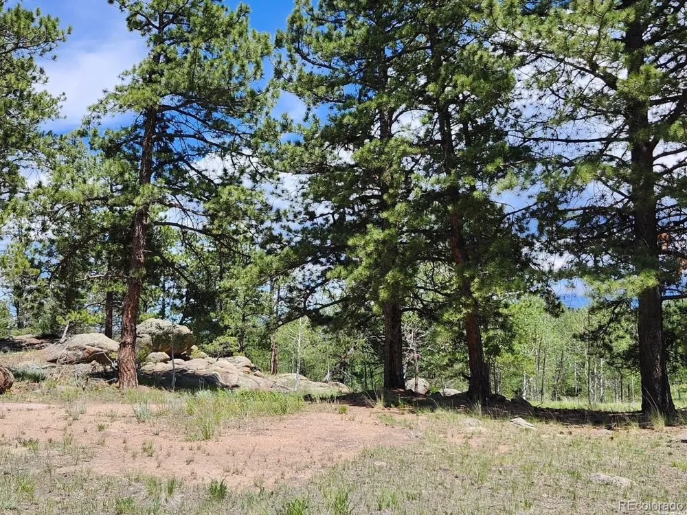 501 Cr-403 Florissant, CO 80816