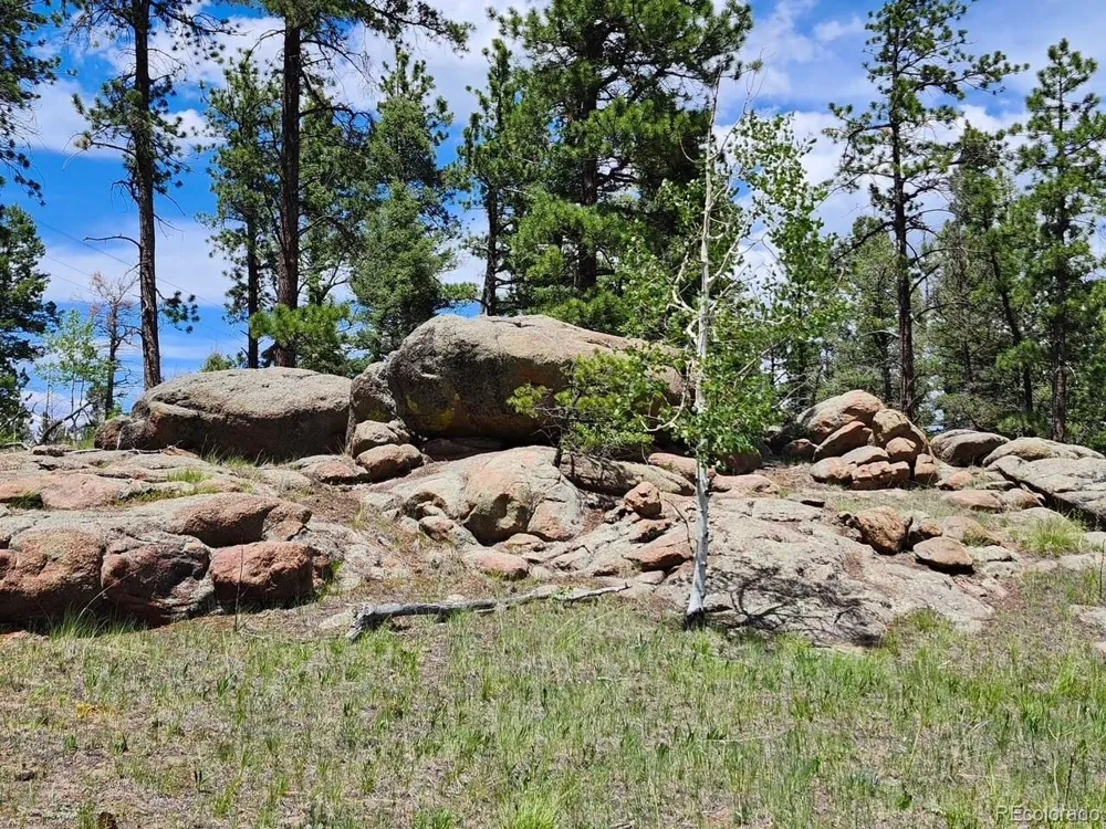 501 Cr-403 Florissant, CO 80816