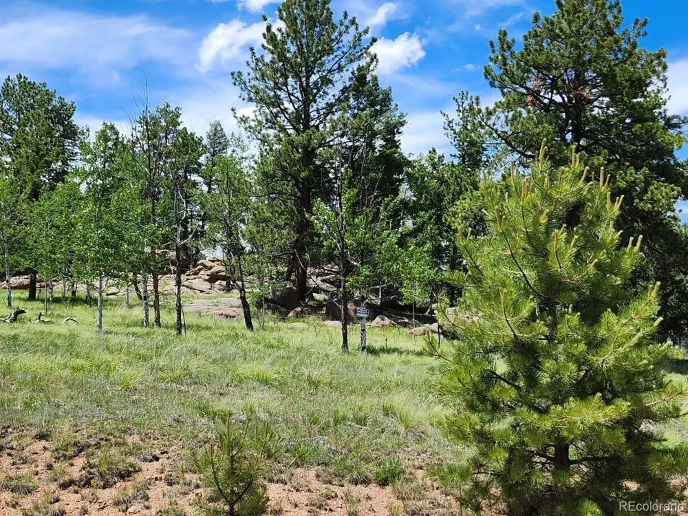 501 Cr-403 Florissant, CO 80816