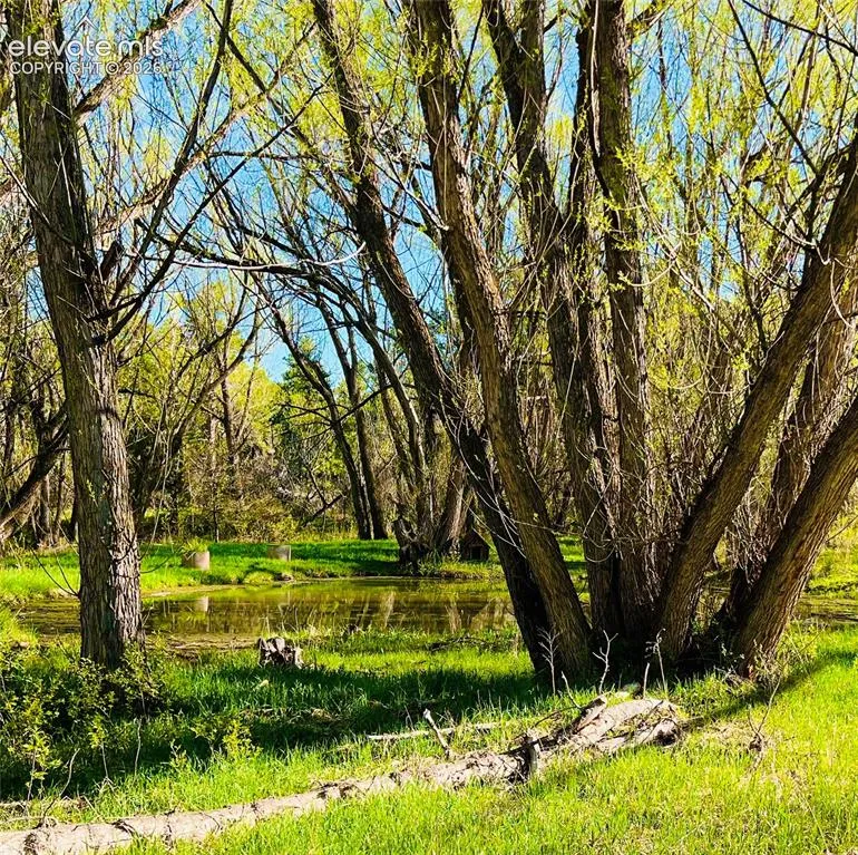 222 Clio Avenue Palmer Lake, CO 80133