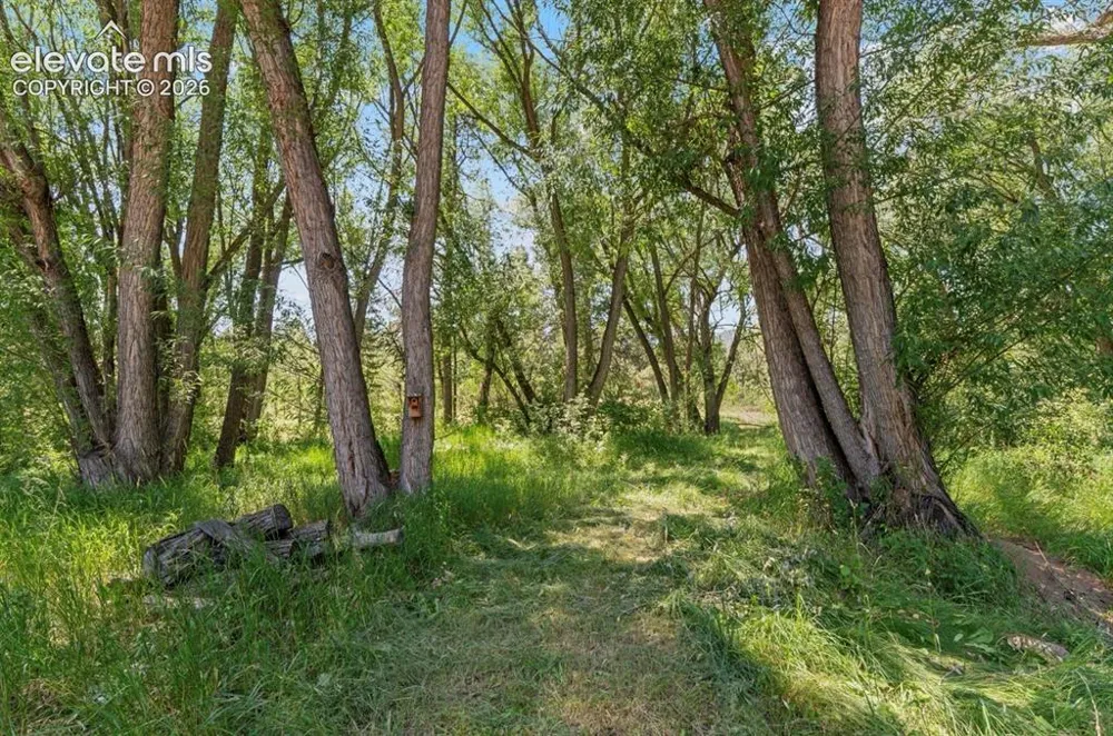 222 Clio Avenue Palmer Lake, CO 80133