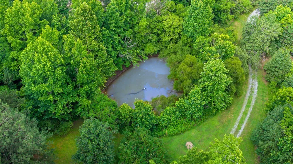 3612 Bill Jones Road Apison, TN 37302