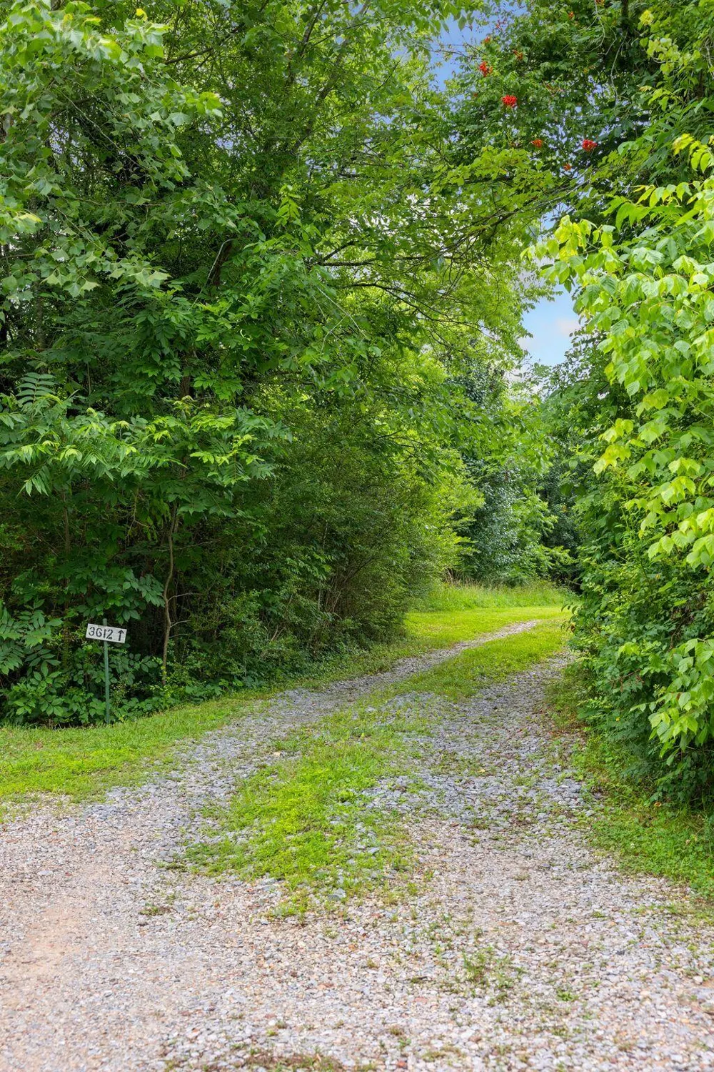 3612 Bill Jones Road Apison, TN 37302