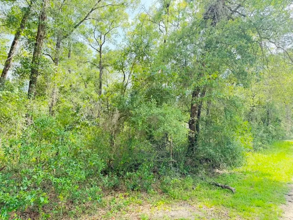3560 E BELLSHIRE PLACE Inverness, FL 34453