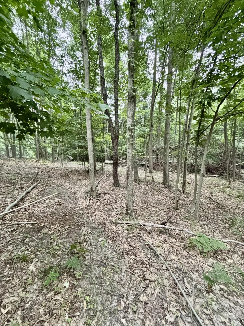 S Elder Avenue Grant, MI 49327