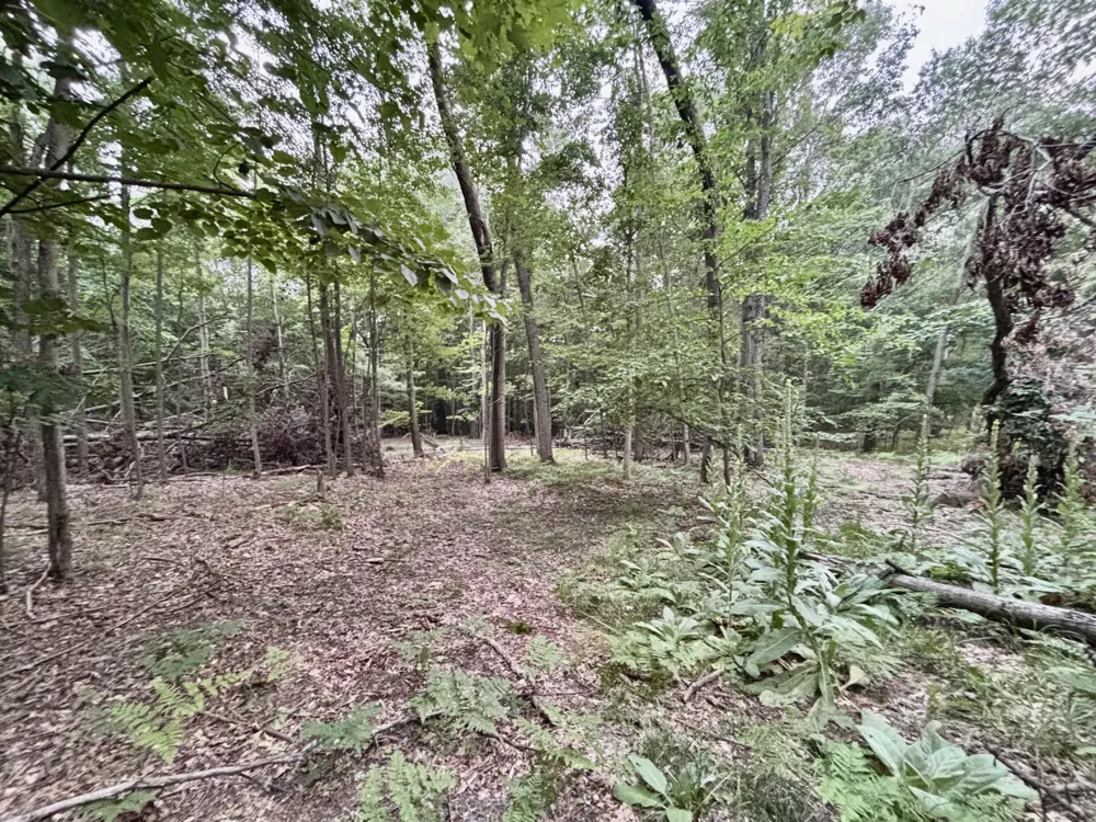 S Elder Avenue Grant, MI 49327