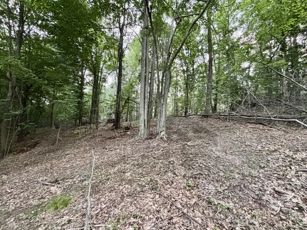 S Elder Avenue Grant, MI 49327