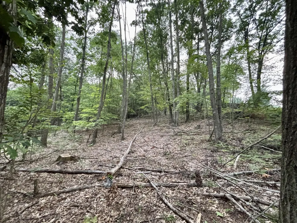 S Elder Avenue Grant, MI 49327