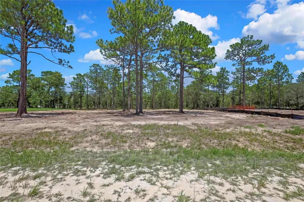 16116 MEDRICK ROAD Brooksville, FL 34614