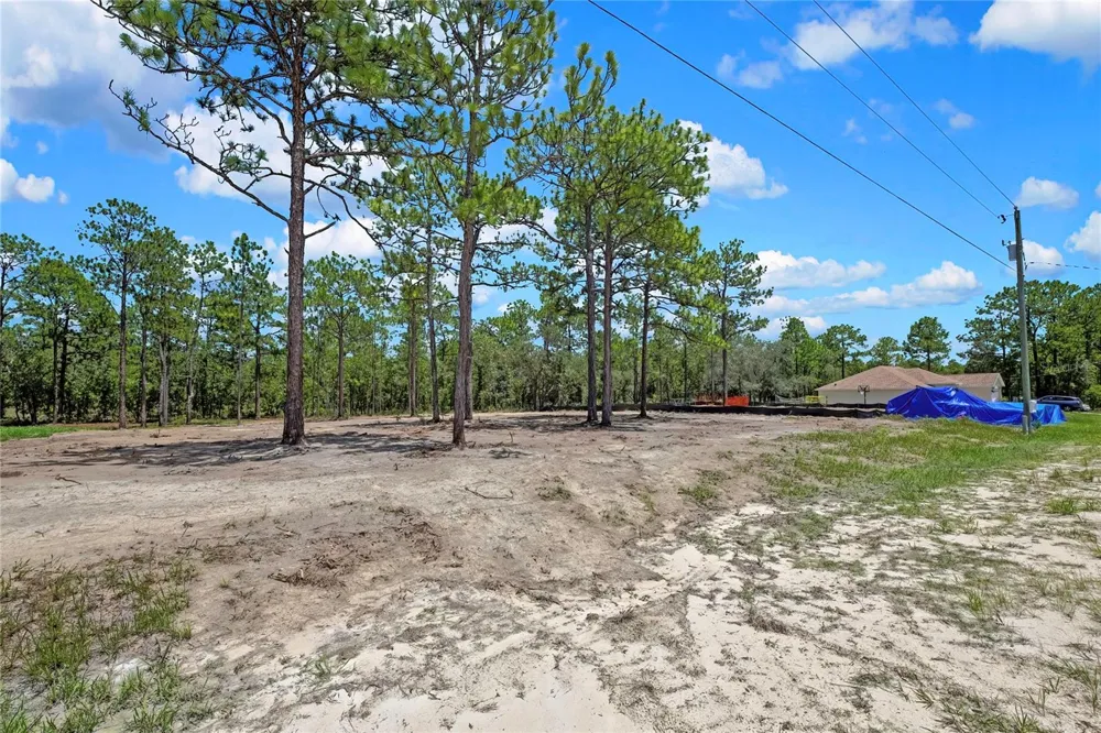16116 MEDRICK ROAD Brooksville, FL 34614