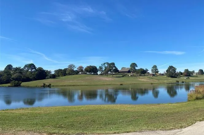 52 Fairway Drive Normangee, TX 77871