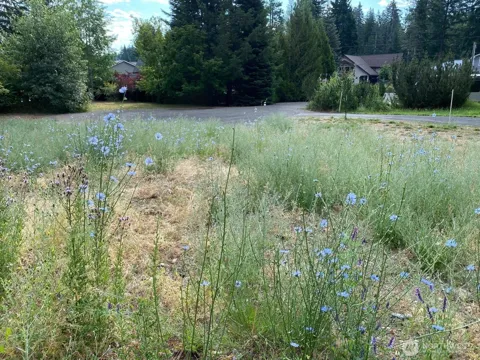 7 lot Kuhuku Court