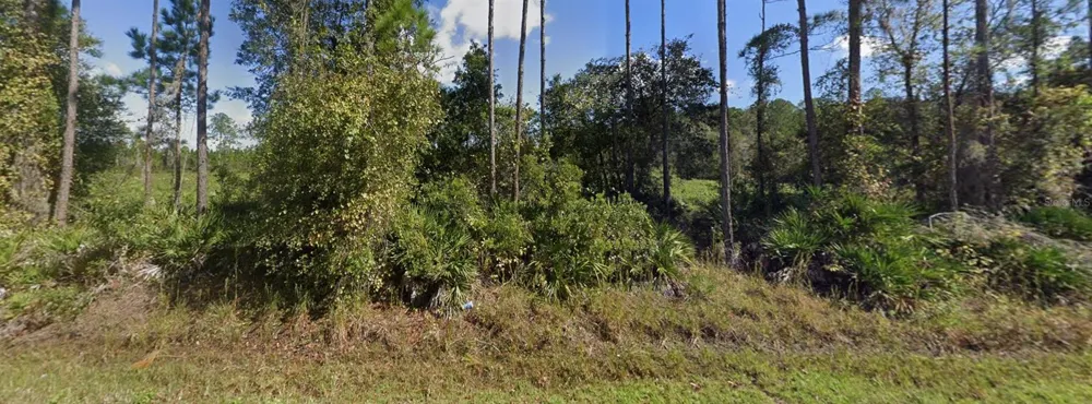 00 NE 64TH AVENUE Citra, FL 32113