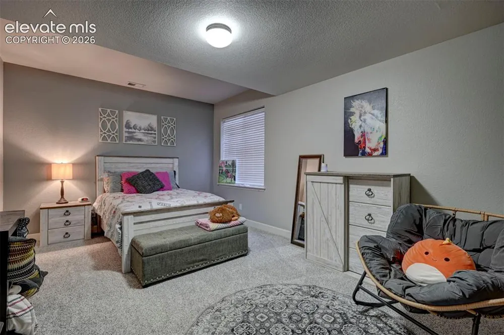 11101 Birch Hollow Way Peyton, CO 80831