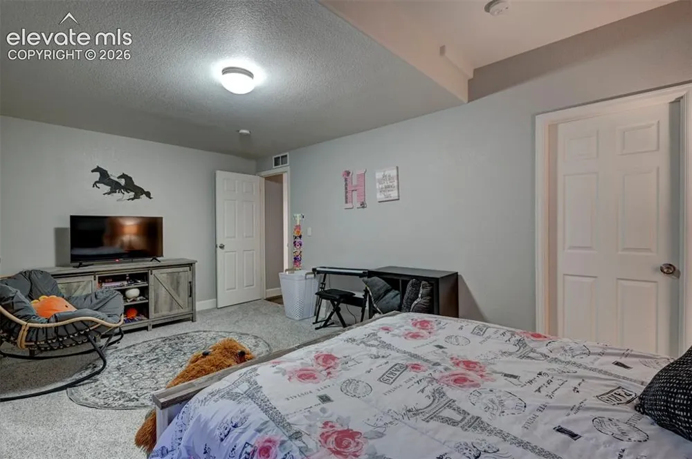 11101 Birch Hollow Way Peyton, CO 80831