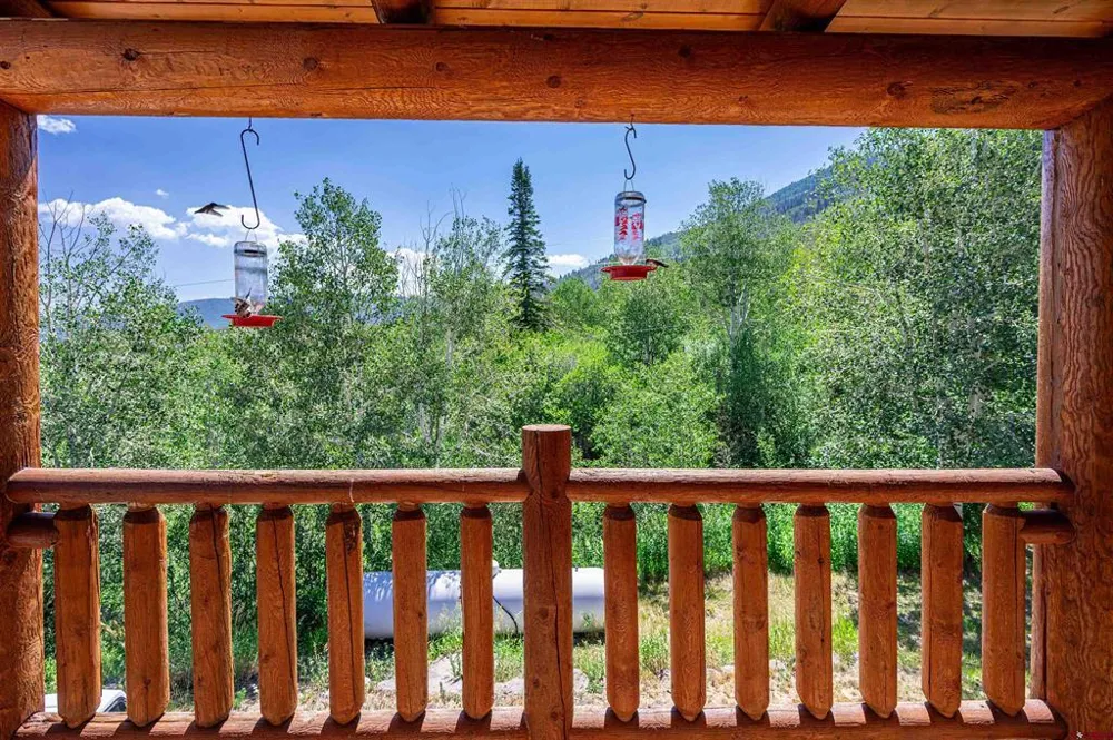 395 powder Ridge Circle Mesa, CO 81643