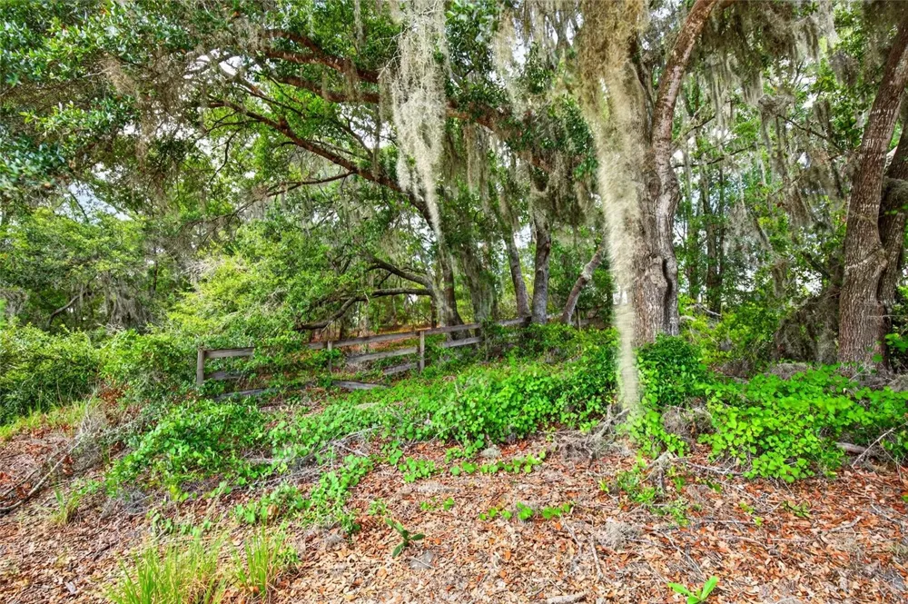 MALAUKA LOOP Ocklawaha, FL 32179