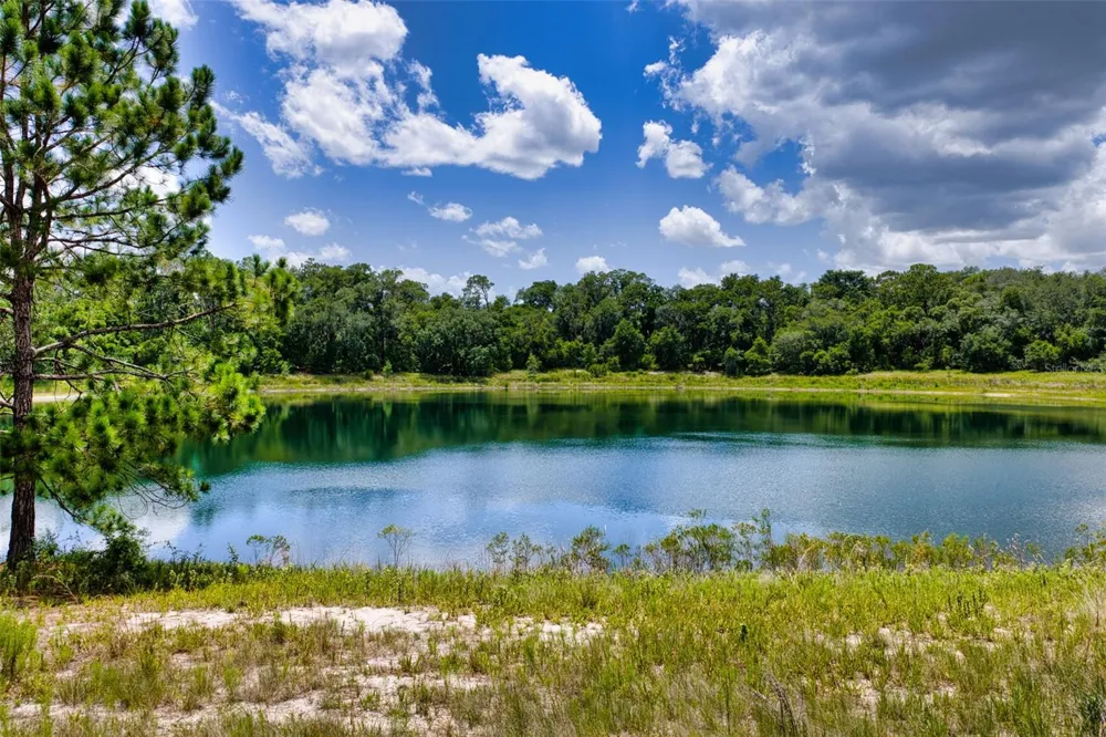 MALAUKA LOOP Ocklawaha, FL 32179