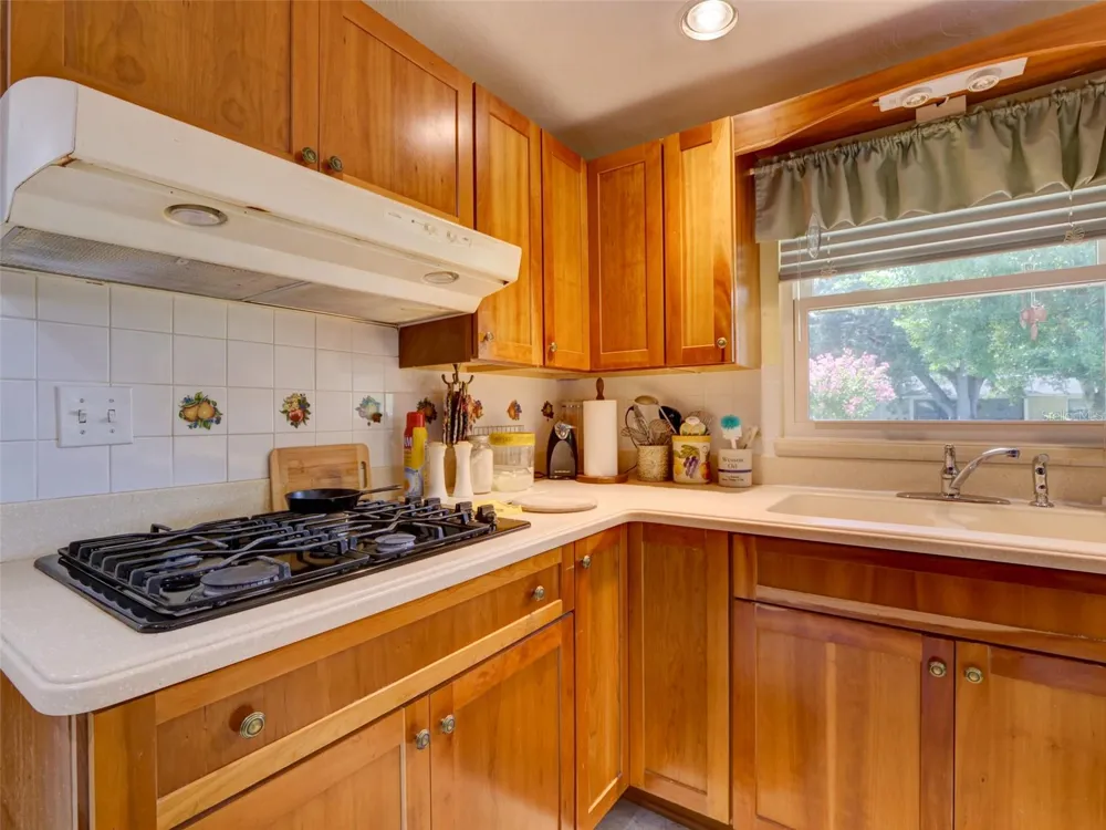 314 YORK STREET Bushnell, FL 33513