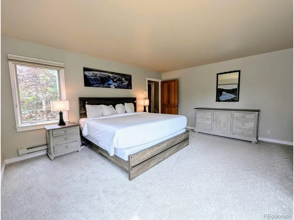 392 Wild Irishman Road #1910 Dillon, CO 80435